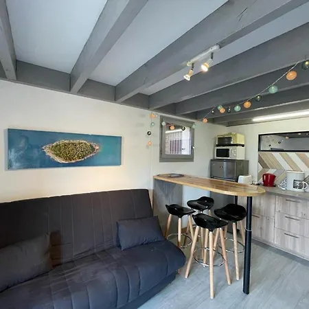 Patio A 20m De La Avec Terrasse Et Parking - Fr-1-413-159 ヴィラ カップブルトン