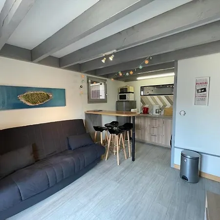 Patio A 20m De La Avec Terrasse Et Parking - Fr-1-413-159